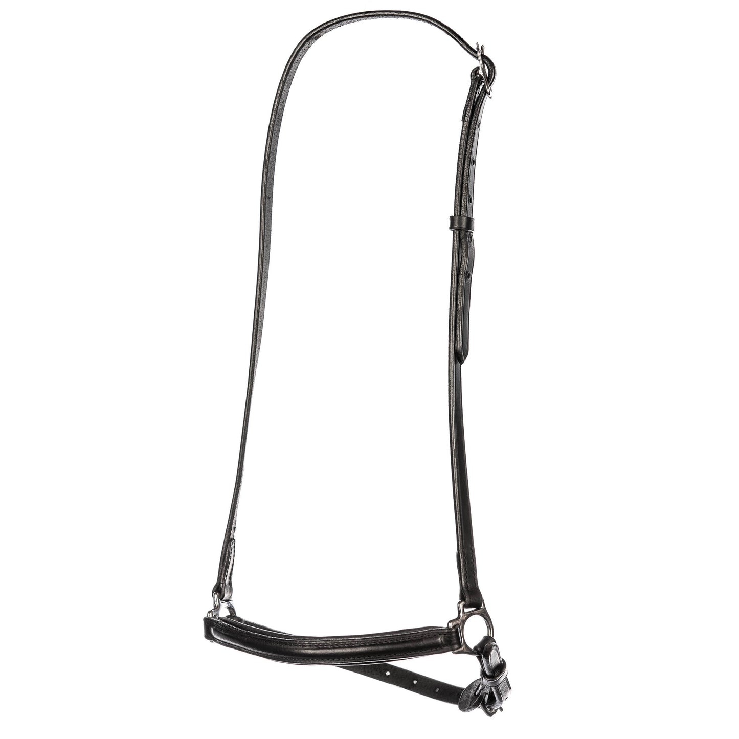 Singula - Regular noseband