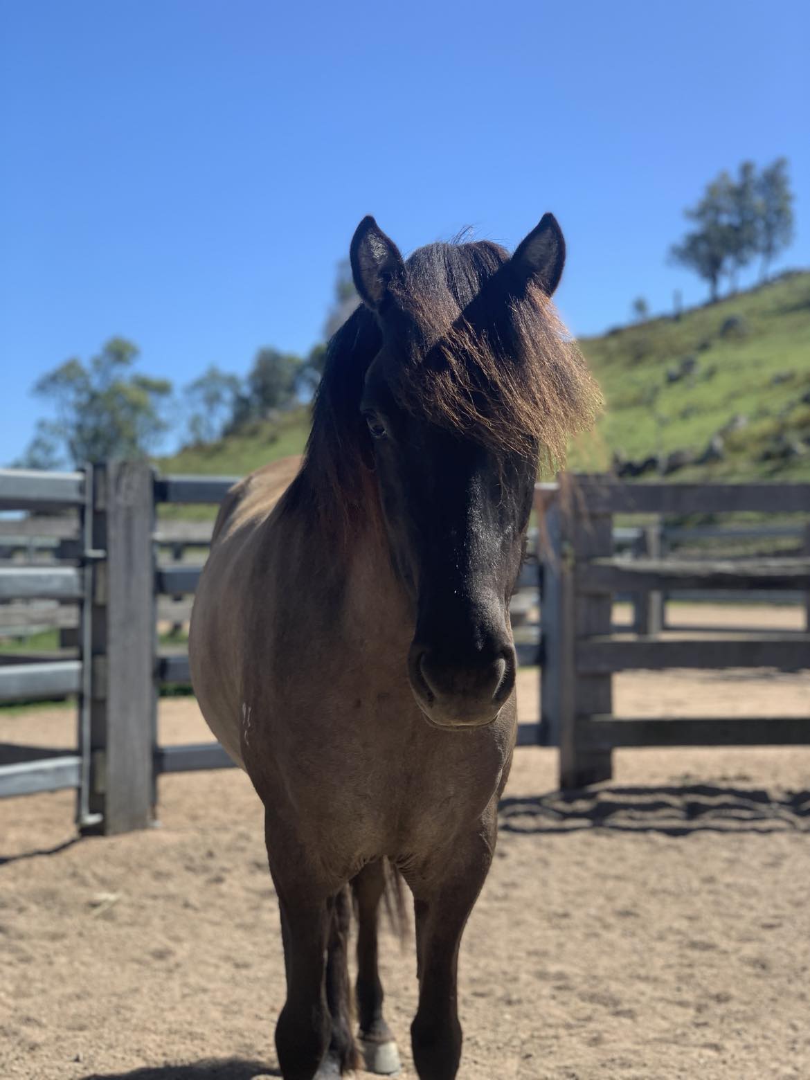 Kerski - coming up for sale in 1 month