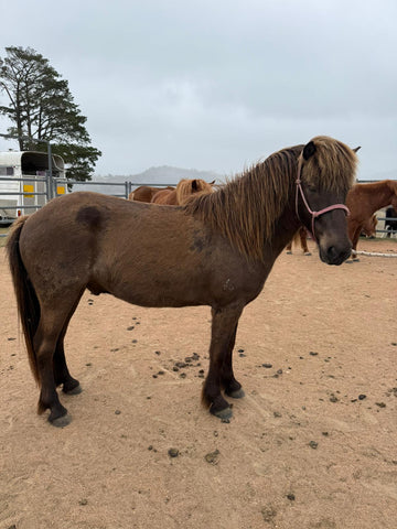 Fenrir from Haldane - coming up in 6 months