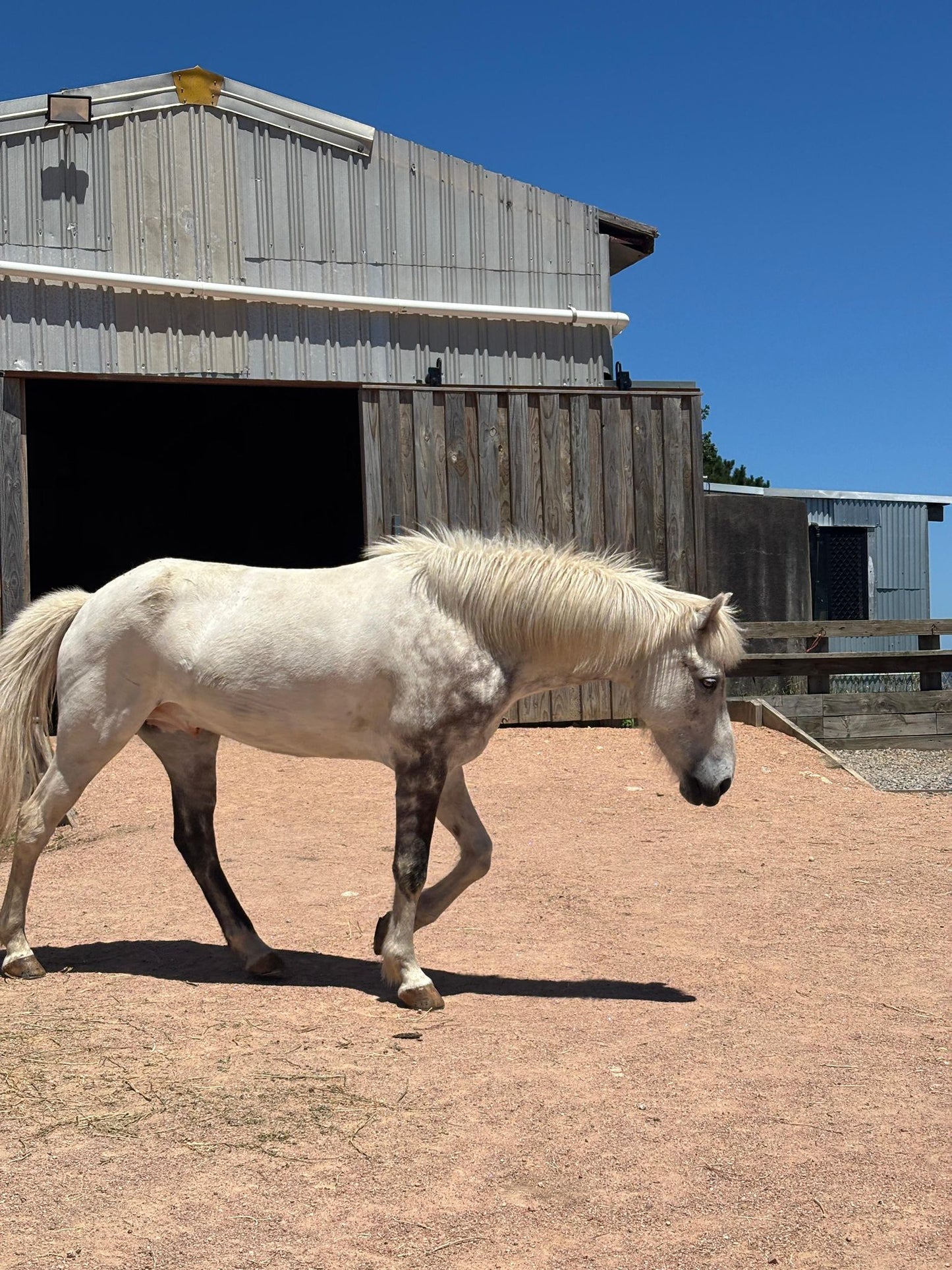 Sleipnir from Megalong - coming up in 6 months