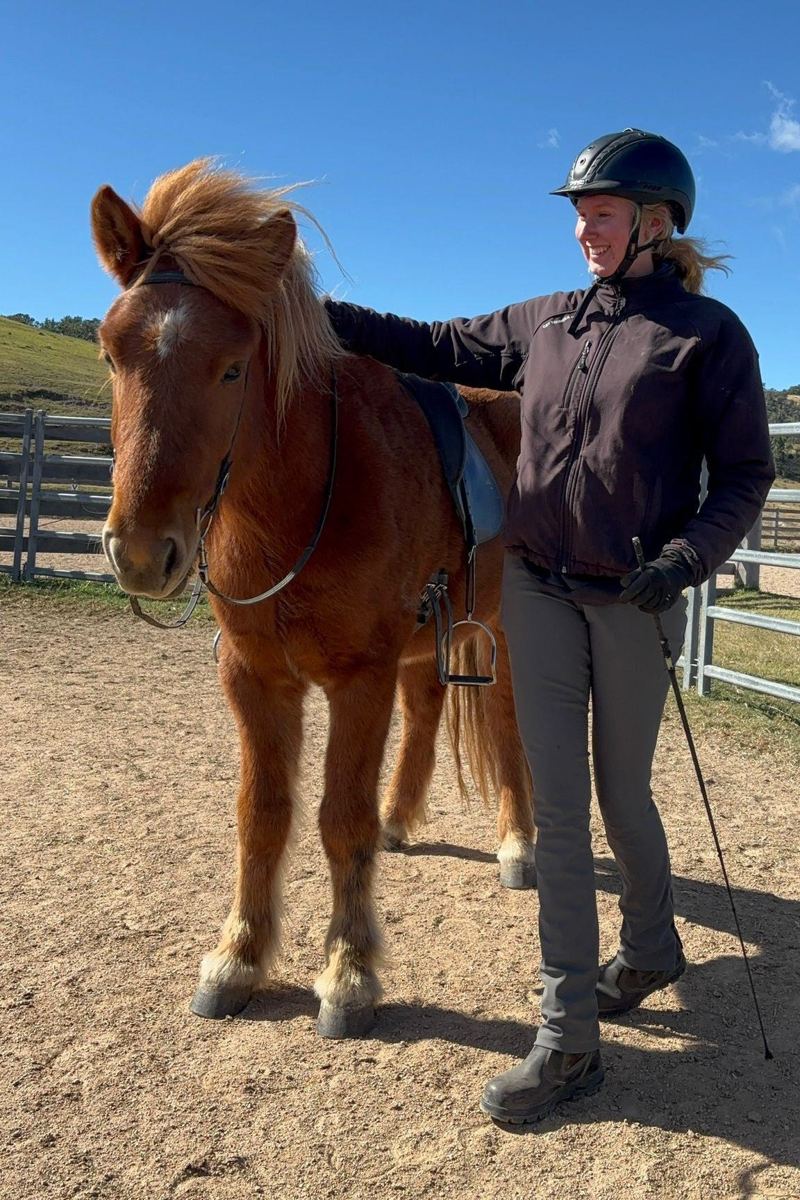 Glanni from Megalong Icelandics - coming up in 8 months
