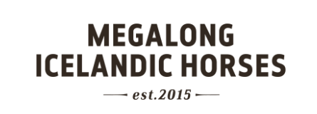 Megalong Icelandic Horses