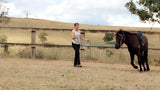 Training