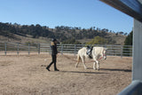 Training
