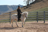 Training