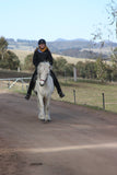 Birta (sold)