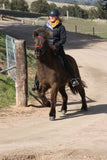 Training