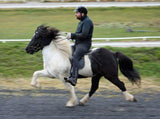 Kápa